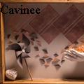 AlexCavinee